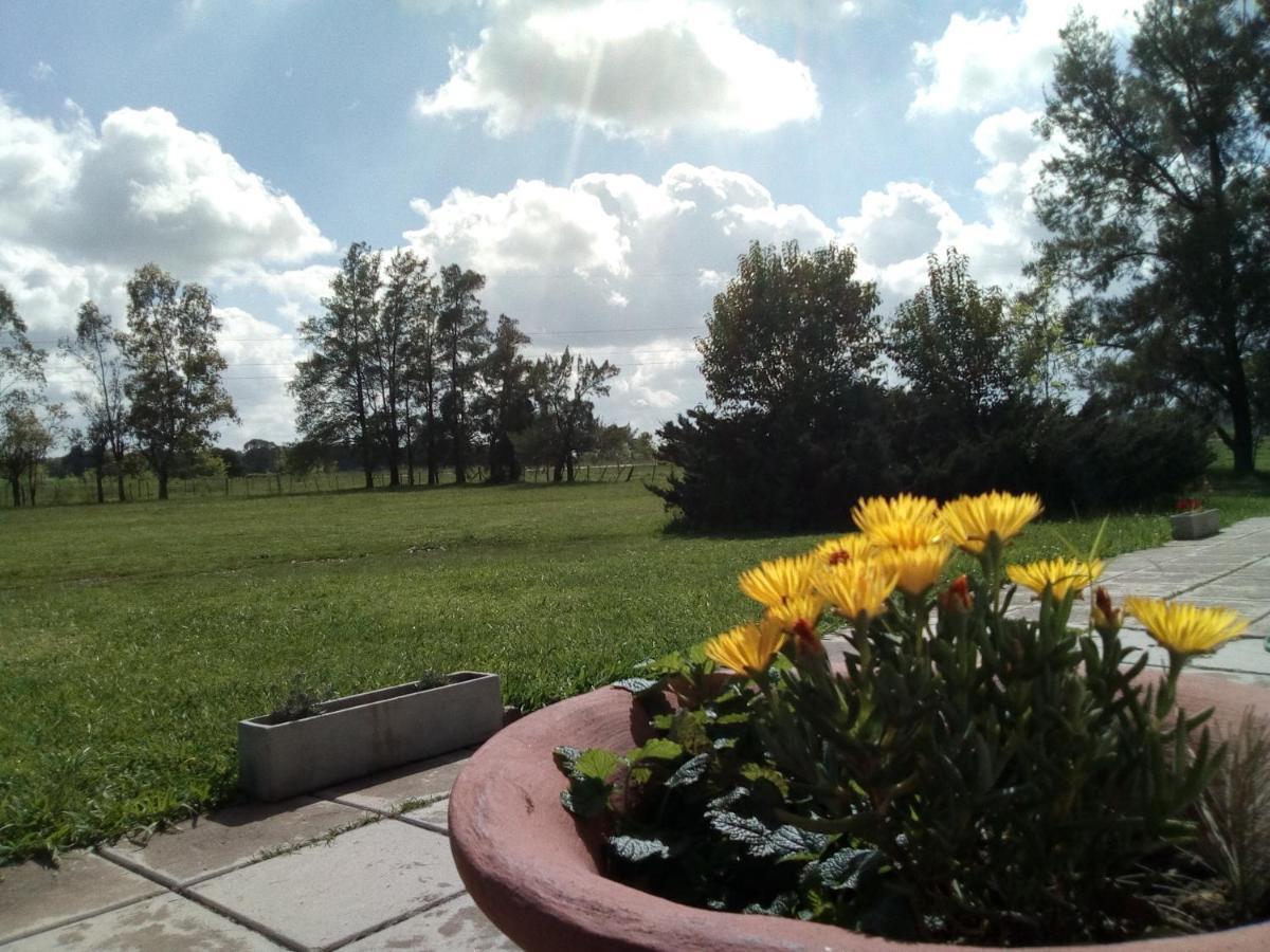 Hotel El Triunfo De Areco San Antonio de Areco Ngoại thất bức ảnh