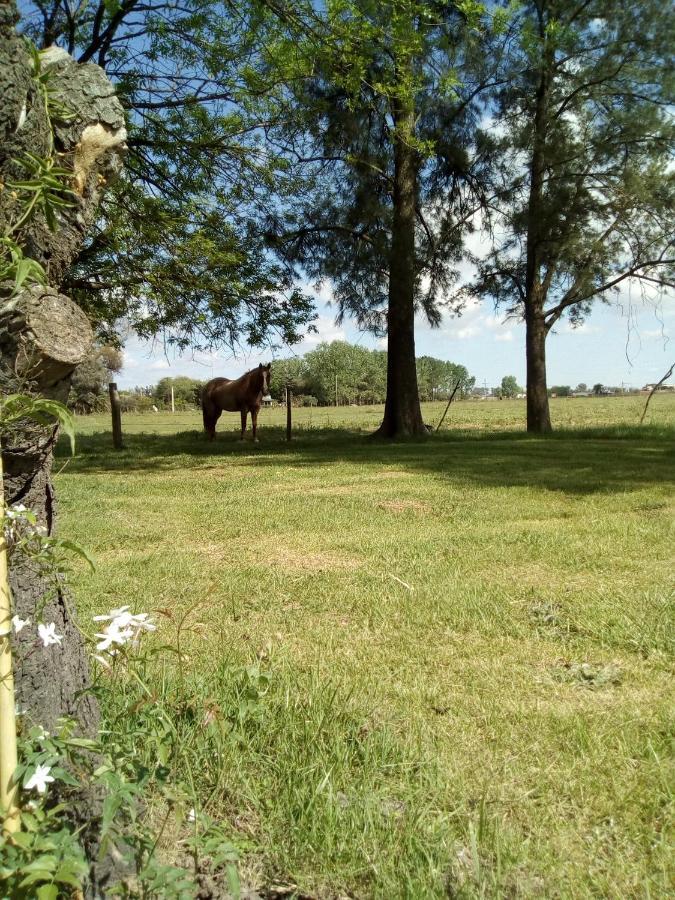 Hotel El Triunfo De Areco San Antonio de Areco Ngoại thất bức ảnh